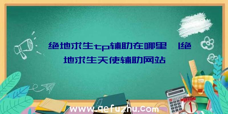 「绝地求生tp辅助在哪里」|绝地求生天使辅助网站